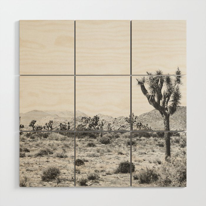 Joshua Tree Monochrome, No. 1 Wood Wall Art Gallery Image 1