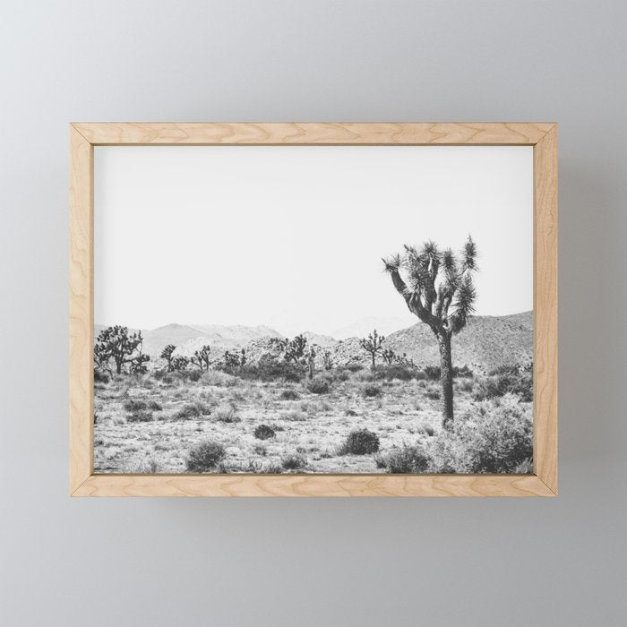 Joshua Tree Monochrome, No. 1 Mini Art Print Gallery Image 1