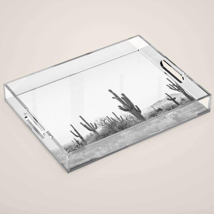 ARIZONA DESERT VI / Scottsdale Acrylic Tray Gallery Image 1