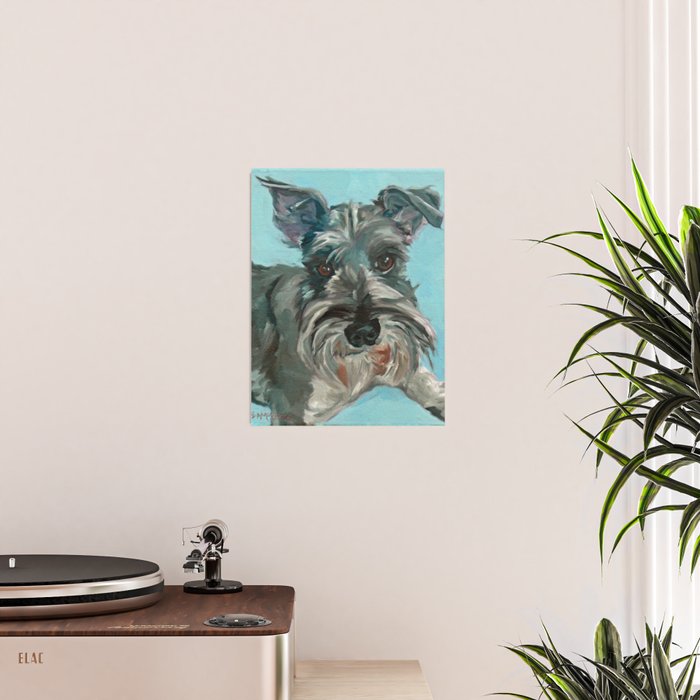 Schnauzer Dog Portrait Poster Gallery Image 2