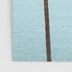 Morning in Laguna Beach Poster Gallery Image 3