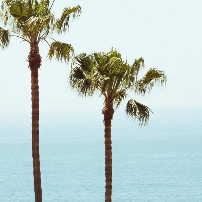 Morning in Laguna Beach Coffee Mug Gallery Image 2