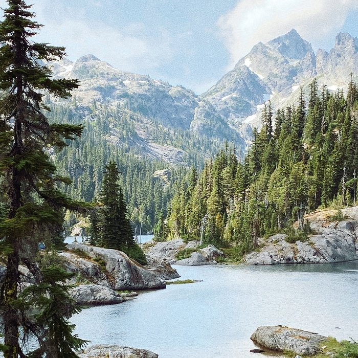 Summer in the Cascades Coffee Mug Gallery Image 2