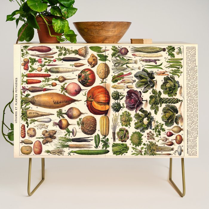 Adolphe Millot Legumes Plant Potageres Vintage Scientific Encyclopedia Illustration Lithograph  Credenza Gallery Image 1