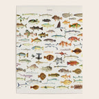 Illustrated Colorful Southern Pacific Exotic Game Fish Identification Chart Poster Gallery Image 4