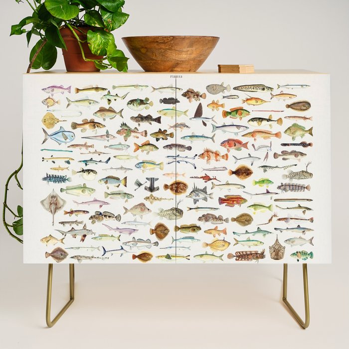 Illustrated Colorful Southern Pacific Exotic Game Fish Identification Chart Credenza Gallery Image 1