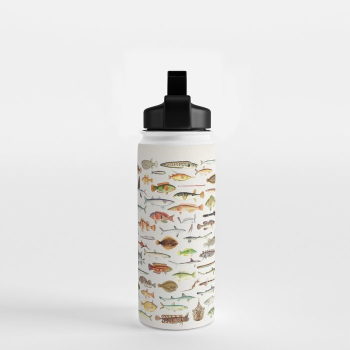 Illustrated Colorful Southern Pacific Exotic Game Fish Identification Chart Water Bottle Gallery Image 2