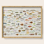 Illustrated Colorful Southern Pacific Exotic Game Fish Identification Chart Serving Tray Gallery Image 1
