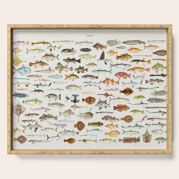 Illustrated Colorful Southern Pacific Exotic Game Fish Identification Chart Serving Tray Gallery Image 1
