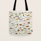 Illustrated Colorful Southern Pacific Exotic Game Fish Identification Chart Tote Bag Gallery Image 1