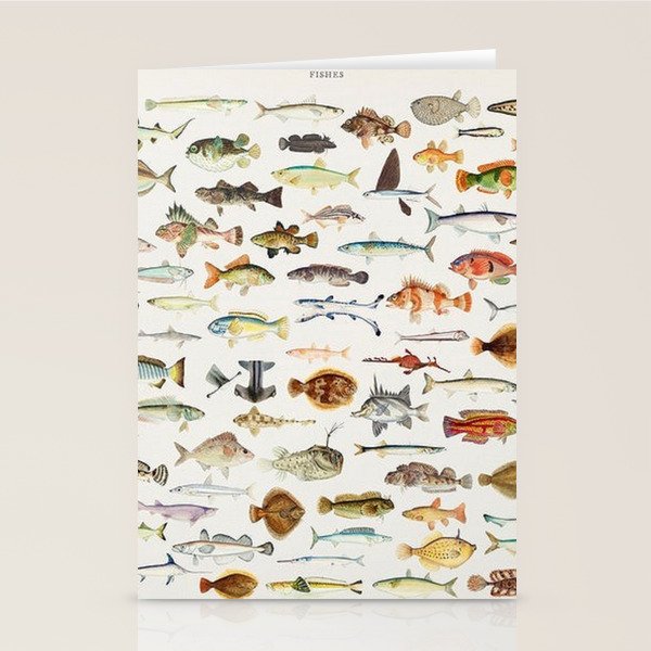 Illustrated Colorful Southern Pacific Exotic Game Fish Identification Chart Stationery Card Gallery Image 2