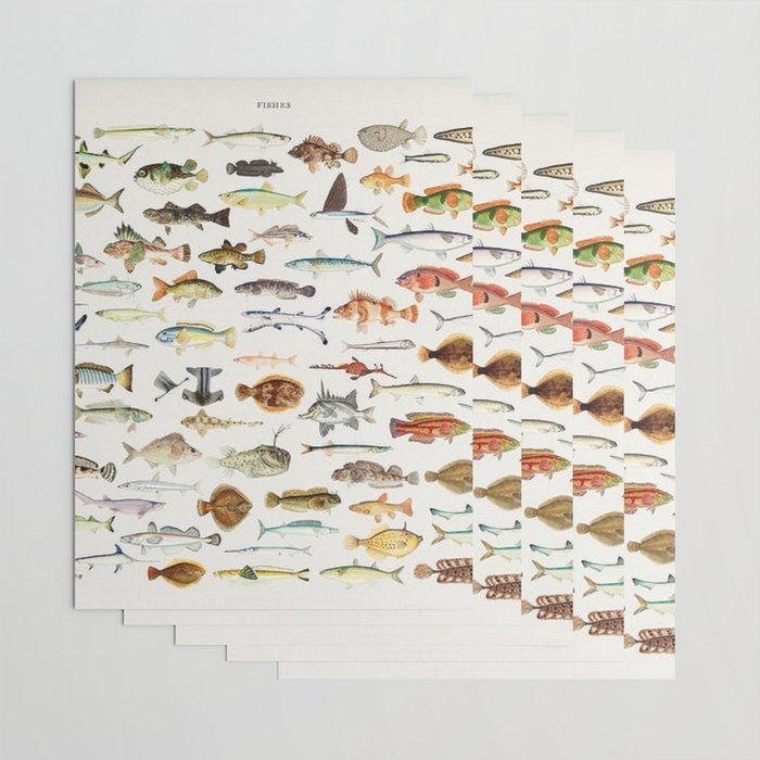 Illustrated Colorful Southern Pacific Exotic Game Fish Identification Chart Wrapping Paper Gallery Image 3