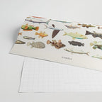Illustrated Colorful Southern Pacific Exotic Game Fish Identification Chart Wrapping Paper Gallery Image 2