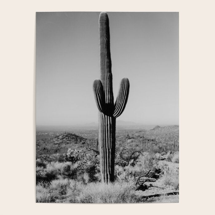 Black and white desert cactus photography poster Poster Gallery Image 4