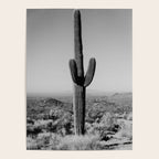 Black and white desert cactus photography poster Poster Gallery Image 4