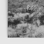Black and white desert cactus photography poster Poster Gallery Image 3