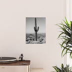 Black and white desert cactus photography poster Poster Gallery Image 2