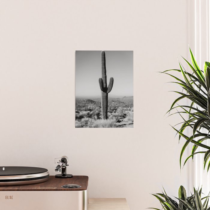 Black and white desert cactus photography poster Poster Gallery Image 2