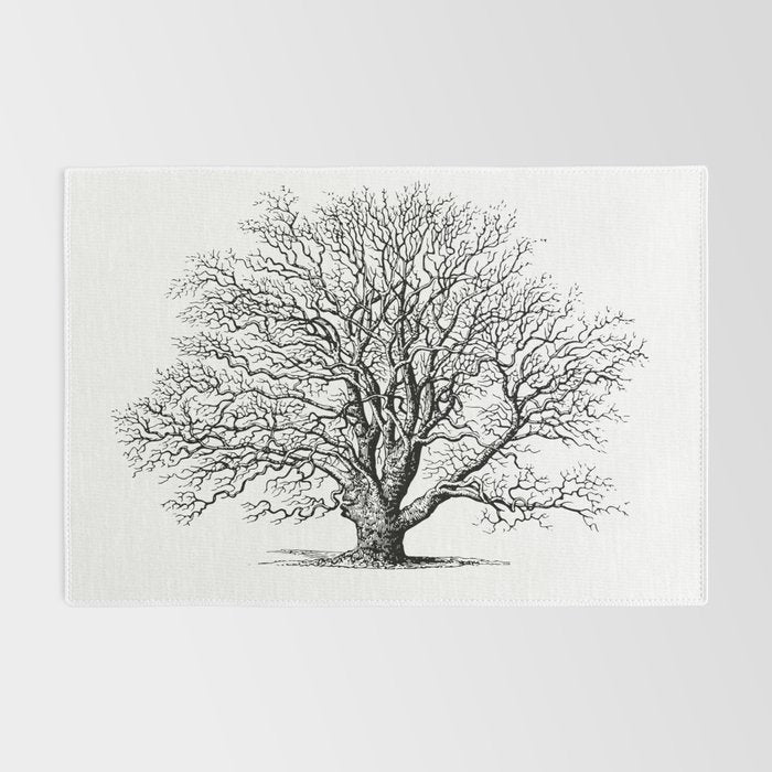 oak tree botanical no2 Rug Gallery Image 2