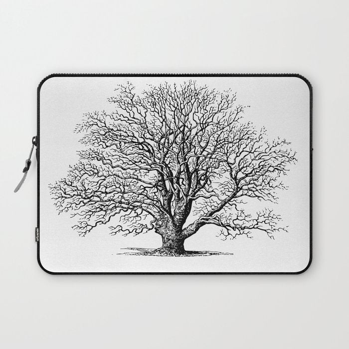 oak tree botanical no2 Laptop Sleeve Gallery Image 1