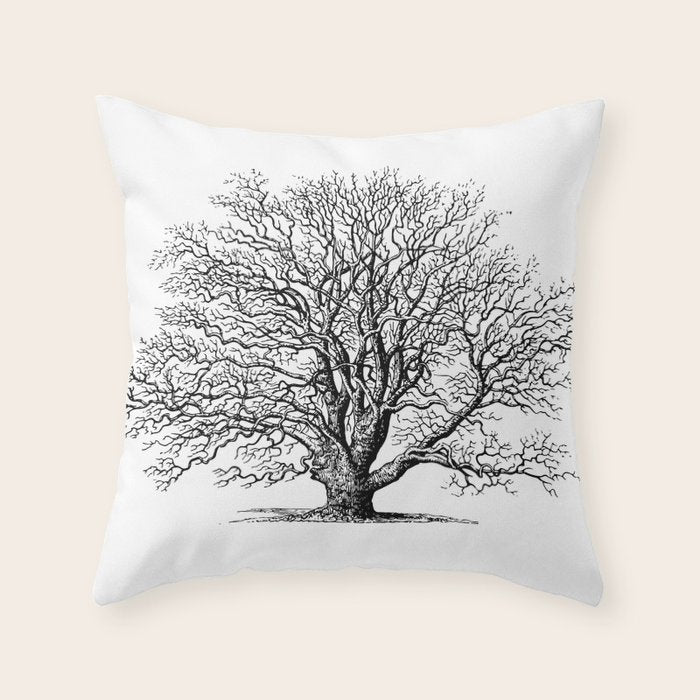 oak tree botanical no2 Throw Pillow Gallery Image 6