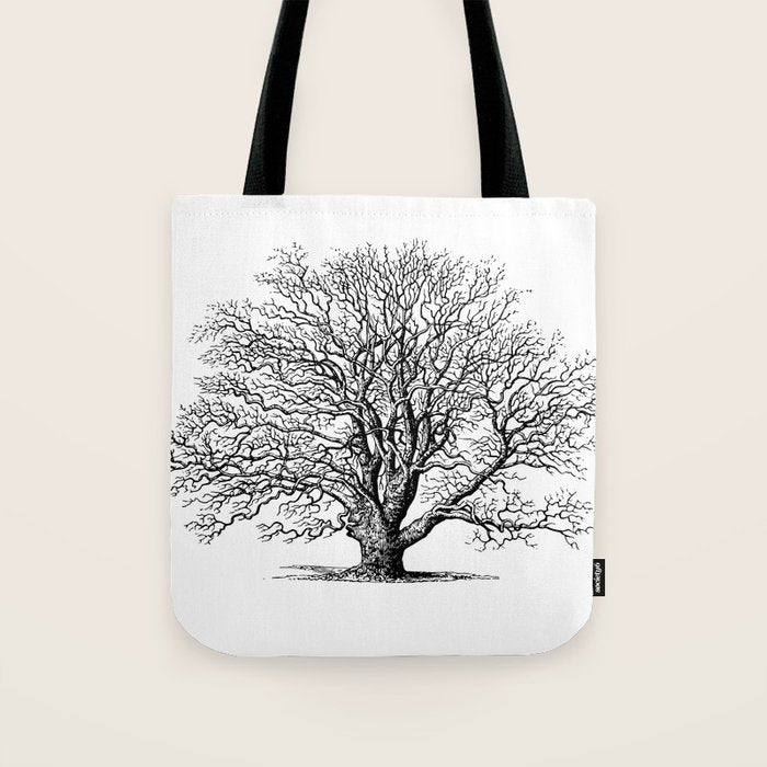 oak tree botanical no2 Tote Bag Gallery Image 1