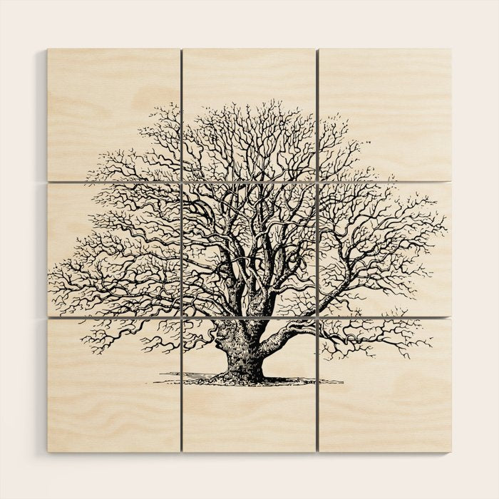 oak tree botanical no2 Wood Wall Art Gallery Image 1