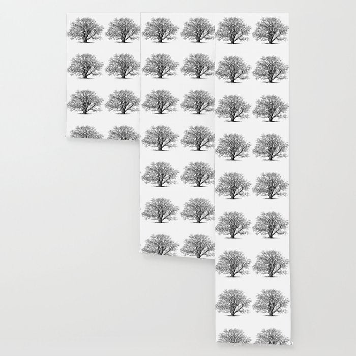 oak tree botanical no2 Wallpaper Gallery Image 3