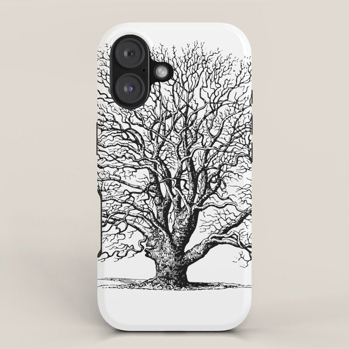 oak tree botanical no2 iPhone Case Gallery Image 1