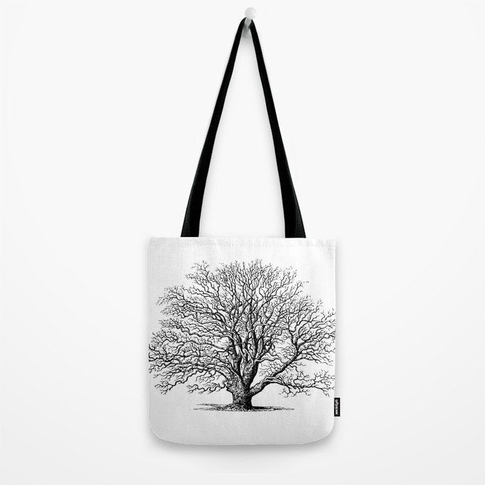 oak tree botanical no2 Tote Bag Gallery Image 2