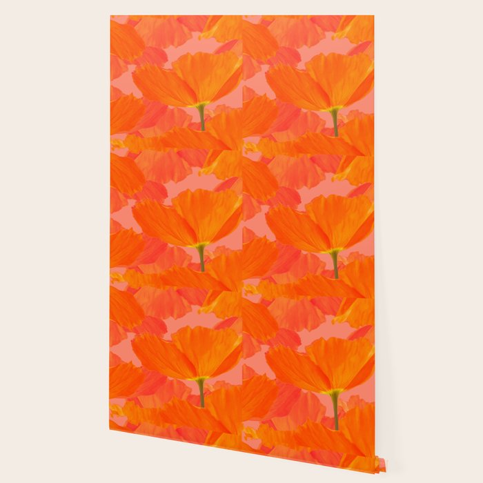Beautiful Poppies Coral Color Background #decor #society6 #buyart Wallpaper Gallery Image 2