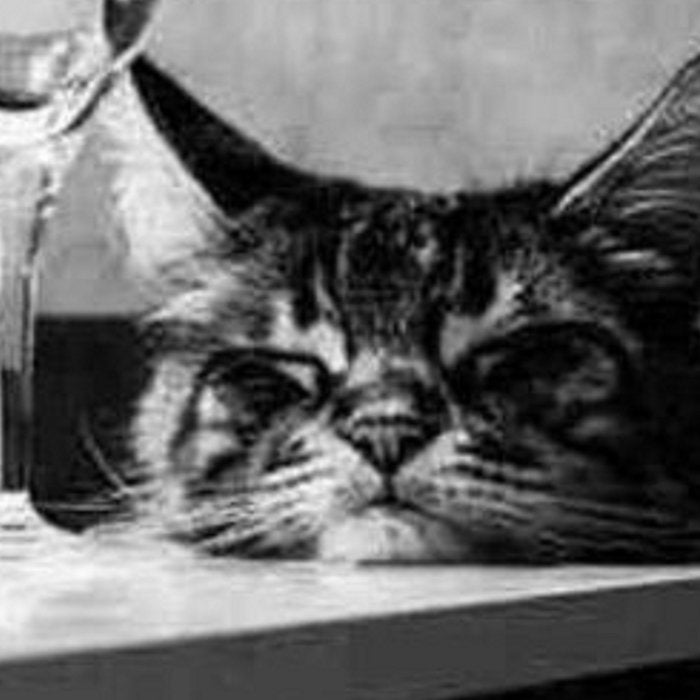 The Nightwatch Cat at the Absinthe bar black and white photograph / art photography Coffee Mug Gallery Image 2