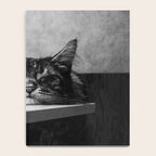 The Nightwatch Cat at the Absinthe bar black and white photograph / art photography Notebook Gallery Image 4