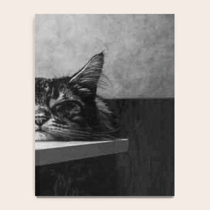 The Nightwatch Cat at the Absinthe bar black and white photograph / art photography Notebook Gallery Image 4