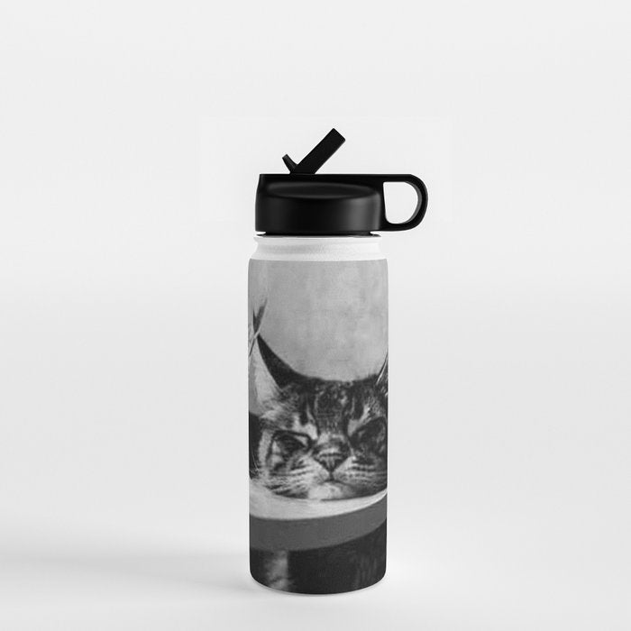 The Nightwatch Cat at the Absinthe bar black and white photograph / art photography Water Bottle Gallery Image 1