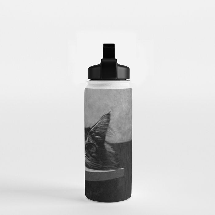 The Nightwatch Cat at the Absinthe bar black and white photograph / art photography Water Bottle Gallery Image 2