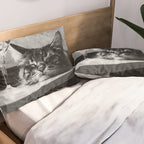 The Nightwatch Cat at the Absinthe bar black and white photograph / art photography Pillow Sham Gallery Image 2