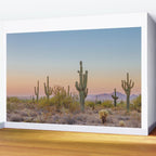 Desert / Scottsdale, Arizona Wall Mural Gallery Image 2