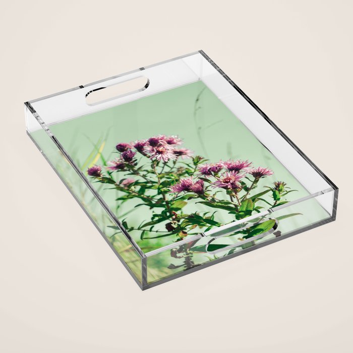 Enlightened Acrylic Tray Gallery Image 1