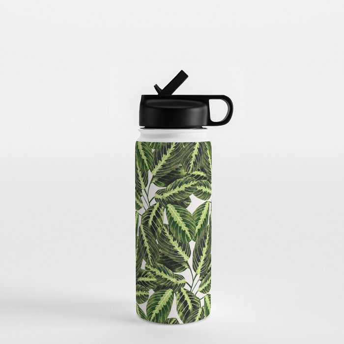 Maranta Lemon lime interior Plant Water Bottle Gallery Image 1