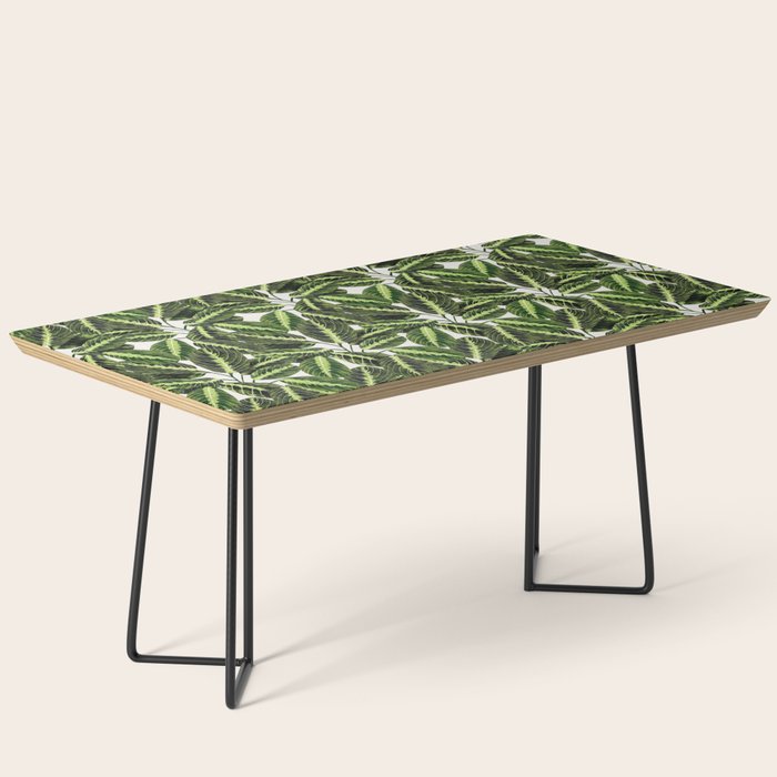 Maranta Lemon lime interior Plant Coffee Table Gallery Image 1