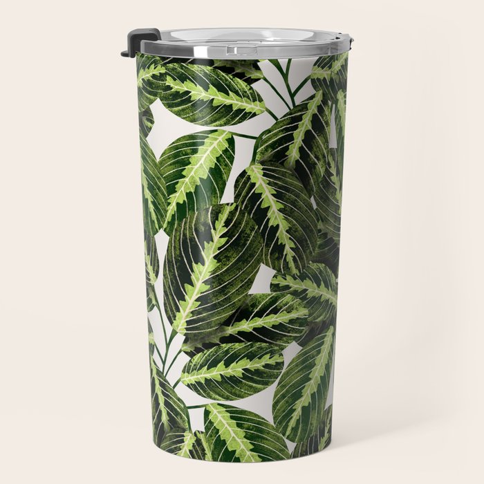 Maranta Lemon lime interior Plant Travel Mug Gallery Image 3