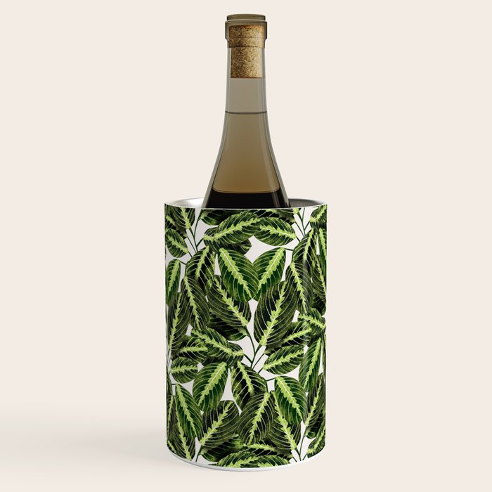 Maranta Lemon lime interior Plant Wine Chiller Gallery Image 3