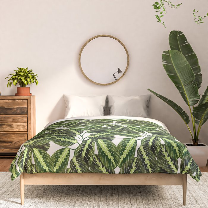 Maranta Lemon lime interior Plant Comforter Gallery Image 3