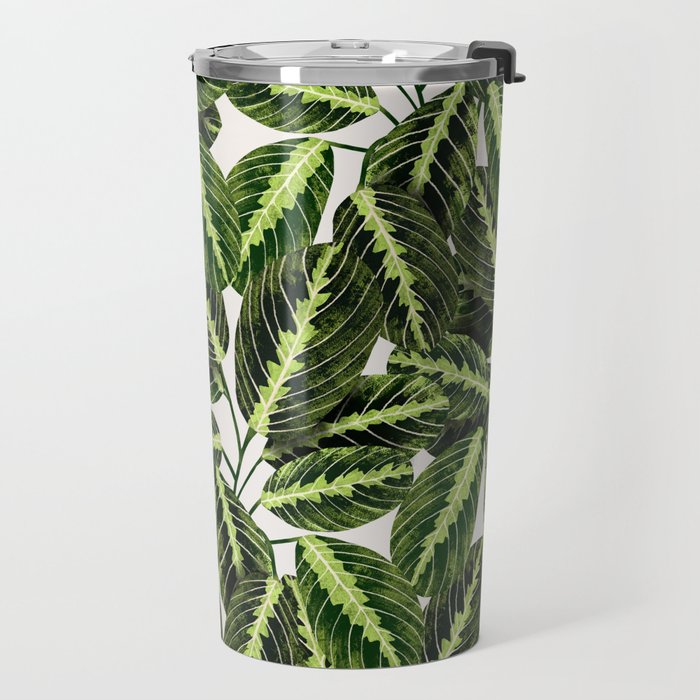 Maranta Lemon lime interior Plant Travel Mug Gallery Image 2
