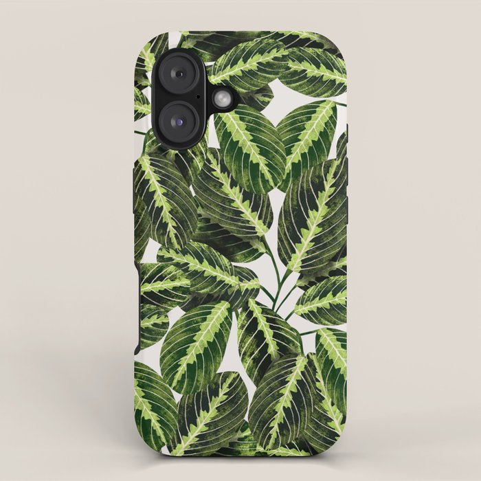 Maranta Lemon lime interior Plant iPhone Case Gallery Image 1