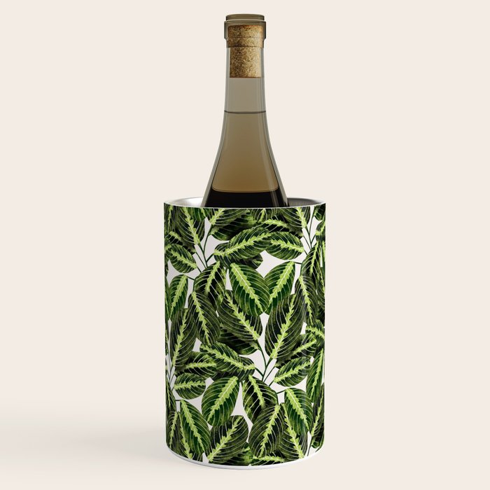 Maranta Lemon lime interior Plant Wine Chiller Gallery Image 1