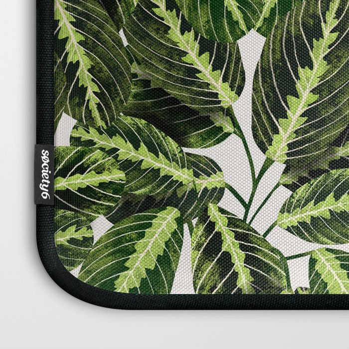 Maranta Lemon lime interior Plant Laptop Sleeve Gallery Image 3