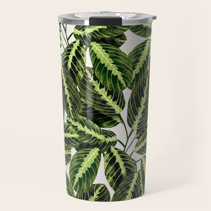 Maranta Lemon lime interior Plant Travel Mug Gallery Image 1