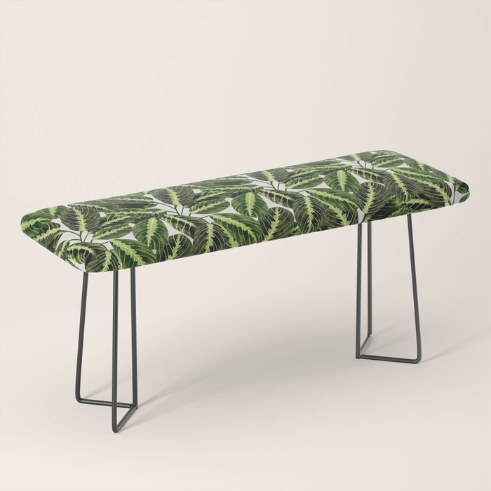 Maranta Lemon lime interior Plant Bench Gallery Image 1